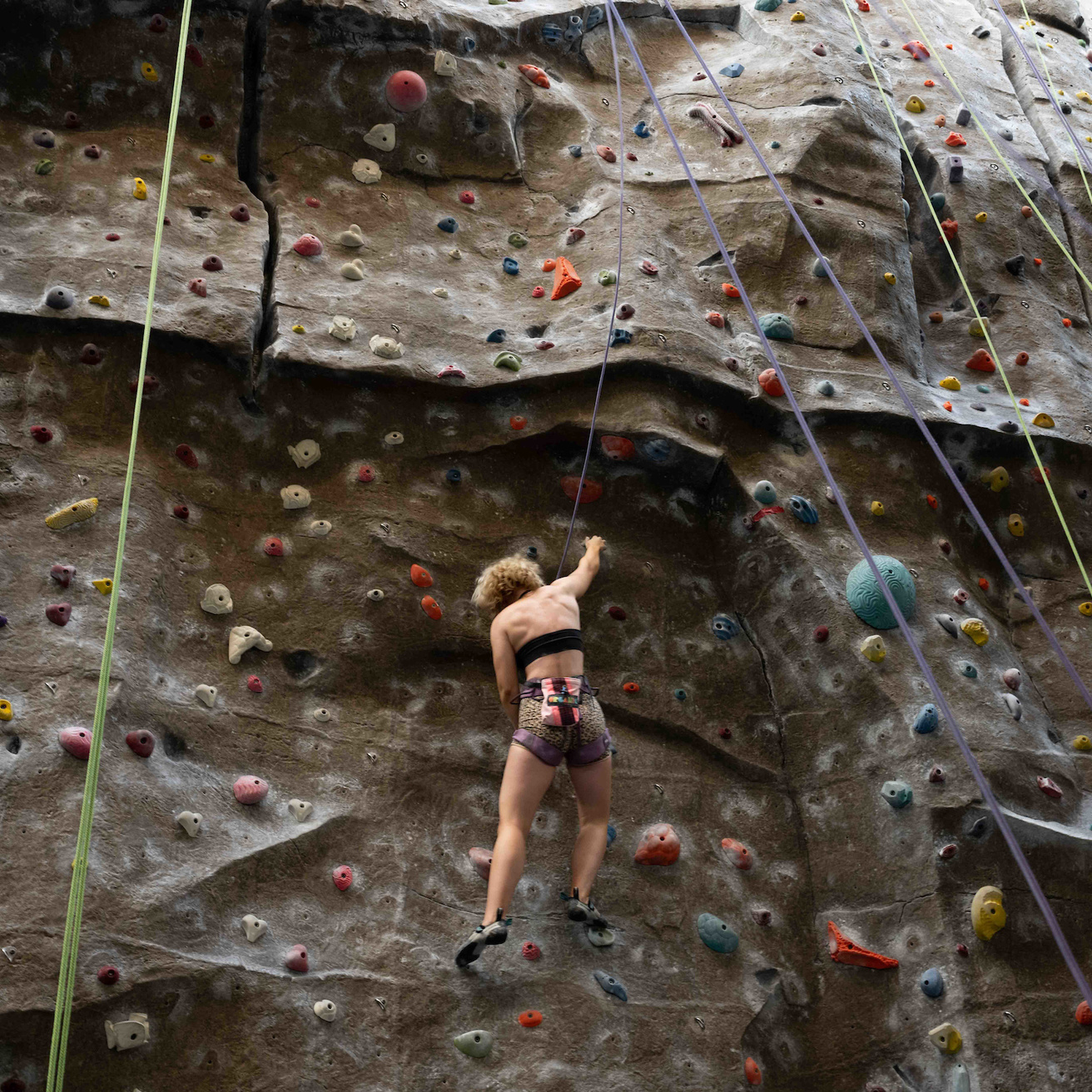 Information about the undergraduate program Cancer Research